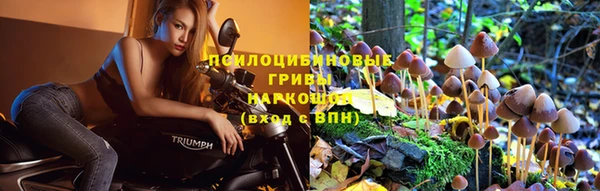 MDMA Горнозаводск