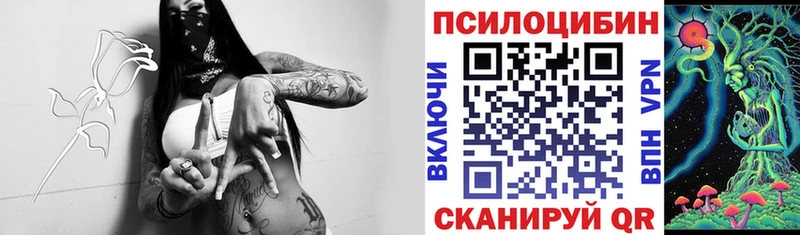 ОМГ ОМГ маркетплейс  Гусиноозёрск  Галлюциногенные грибы Psilocybe 